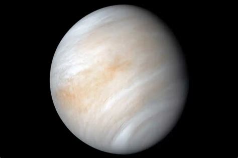 Acidic clouds of Venus could harbour life - New Scientist - wintechmobiles.com