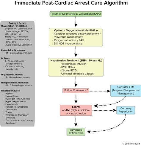 ACLS Post Cardiac Arrest Care Algorithm