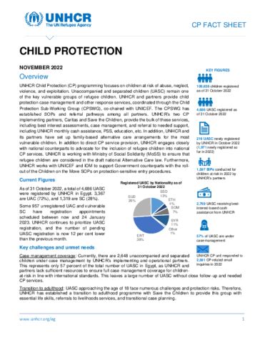 ACO Child Protection Factsheet November 2011