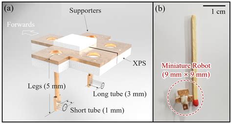 Acoustic Bubbles - wintechmobiles.com
