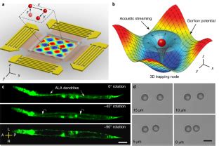 Acoustic tweezers for the life sciences - Nature Methods - wintechmobiles.com