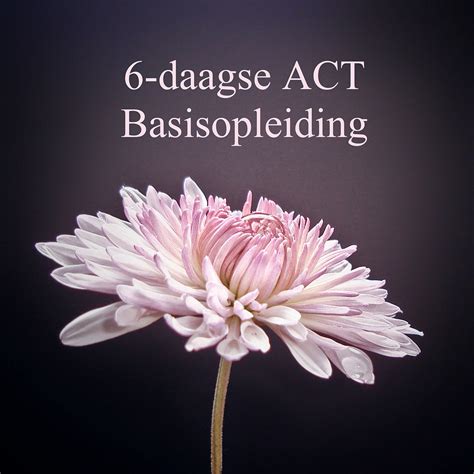 ACT gedragstherapie