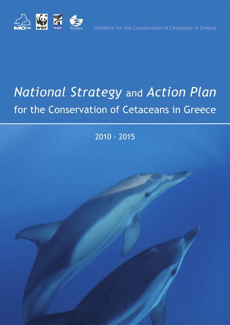 ACTION PLAN FOR THE CONSERVATION OF CETACEANS IN … - raincitystudios.com