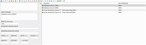 ACTIONS that mimics a WYSIWYG to Change File Extension or File Name and