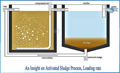 Activated sludge - raincitystudios.com