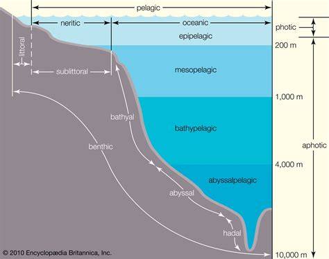 Activity: Pelagic Zones - Where To Live in the Ocean - raincitystudios.com