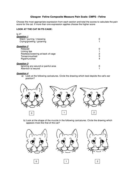 ACWMQ OperatorHB CAT pdf