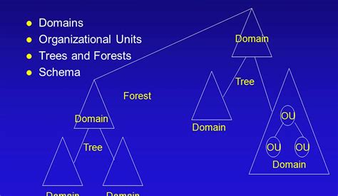 AD Forest Implementation of All Trees