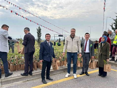 codini.rgarabwor.edu.pl. 