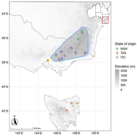 Adaptation in Montane Plants | U.S. Geological Survey - raincitystudios.com