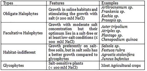 Adaptation of Halophytes to Different Habitats - muktibox.com