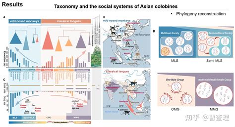 Adaptations to a cold climate promoted social evolution in Asian ... - muktibox.com