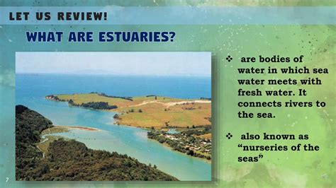 Adapting to Estuaries - Student Reading - Government of New York - muktibox.com