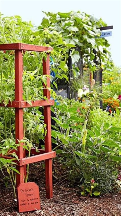 Add Vertical Gardening to Your Yard for Space … - raincitystudios.com