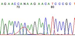 Addgene: Protocol - How to Ligate Plasmid DNA - muktibox.com