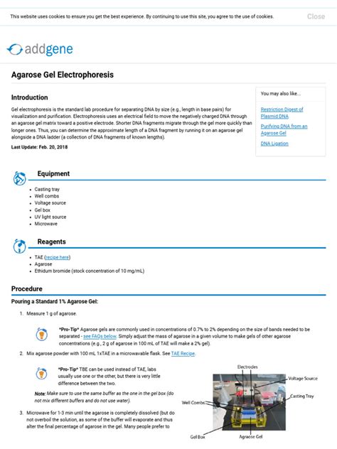 Addgene: Protocol - How to Run an Agarose Gel - wintechmobiles.com