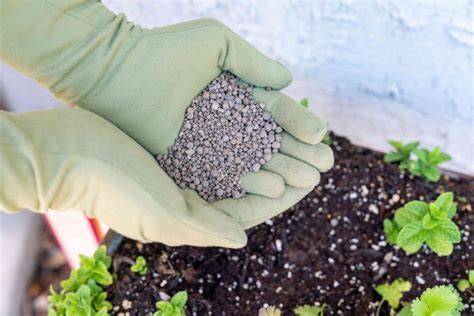 Adding Calcium to Soil: Essential Guide - Plants Spark … - raincitystudios.com