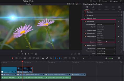 Adding Effects - Corel Discovery Center - muktibox.com
