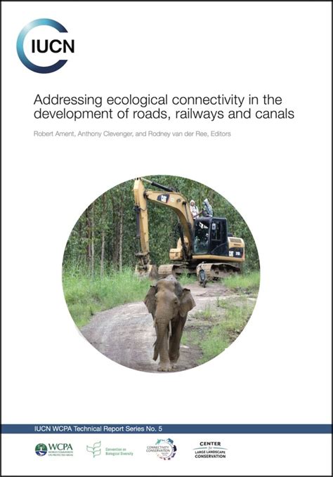 Addressing ecological connectivity in the development … - raincitystudios.com
