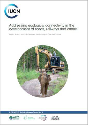 Addressing ecological connectivity in the development of roads ... - raincitystudios.com