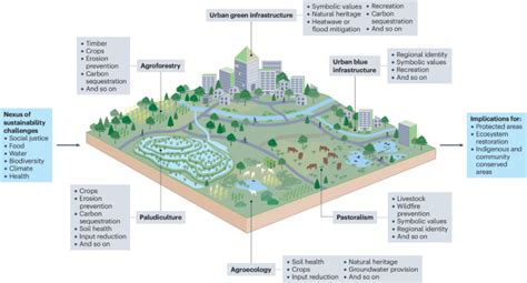 Addressing landscape multifunctionality in conservation … - wintechmobiles.com