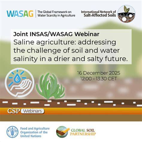 Addressing soil salinity for sustainable agriculture and food security ... - raincitystudios.com