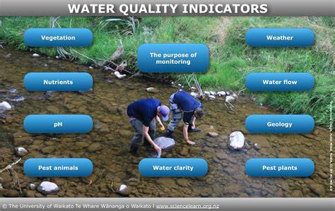 Addressing Water Quality Challenges Using a … - raincitystudios.com