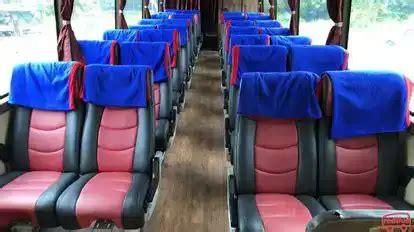 adibuzz - elchoricharrua.com