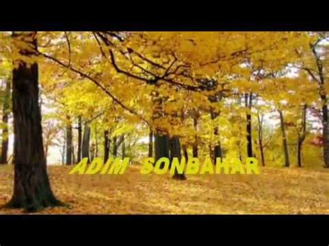 codini.rgarabwor.edu.pl. 