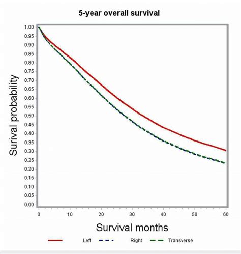 Adjusted Survival Curves - The Comprehensive R Archive Network - wintechmobiles.com