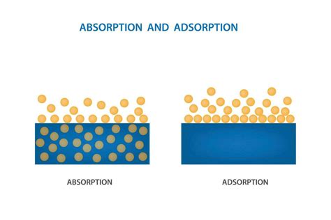 Adsorption | Definition, Types, & Facts | Britannica - wintechmobiles.com