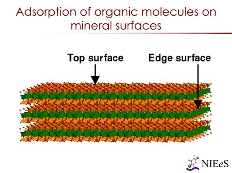 Adsorption of organic molecules on mineral surfaces studied by first ... - wintechmobiles.com