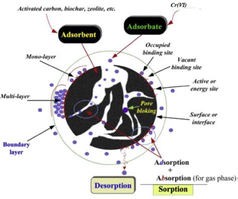 Adsorption technology and surface science - ScienceDirect - wintechmobiles.com