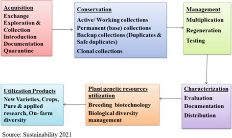 Advanced Biotechnological Approaches for Seed Germplasm … - raincitystudios.com