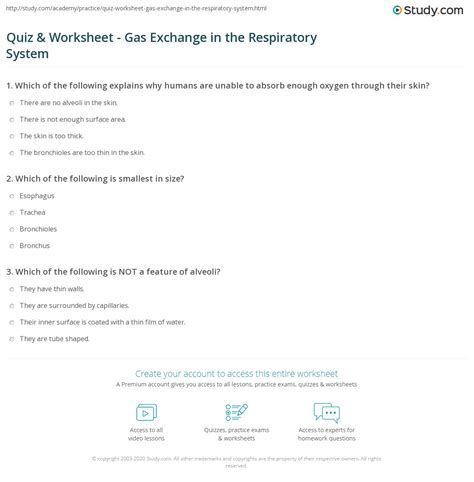 Advanced Cellular Processes and Gas Exchange Quiz - muktibox.com