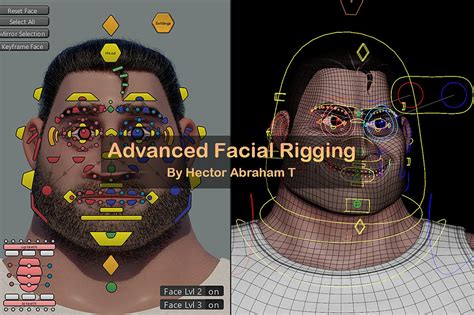 Advanced Character Facial Rigging - vtc - muktibox.com