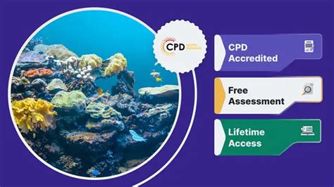 Advanced Marine ecology courses in Clitheroe, Lancashire - raincitystudios.com
