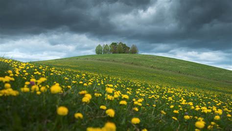 Advanced Masking Techniques for Striking Landscapes - muktibox.com