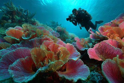 Advanced Technical Scuba Diving Underwater … - raincitystudios.com