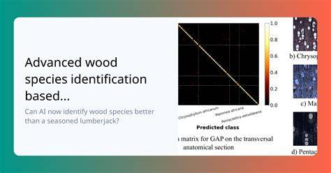 Advanced wood species identification based on multiple anatomical ... - raincitystudios.com