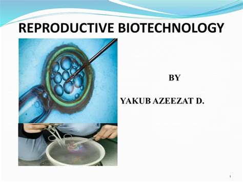Advancements in Reproductive Biotechnology and Nutritional ... - MDPI - muktibox.com