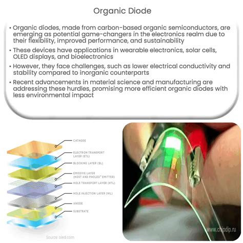 Advancements in the applications of organic light emitting diode - wintechmobiles.com