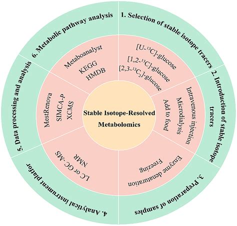 Advances of stable isotope technology in food safety analysis and ... - wintechmobiles.com