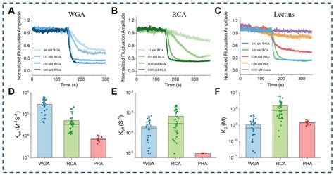 Advancing Accurate Quantification of Protein-Ligand Interactions ... - wintechmobiles.com