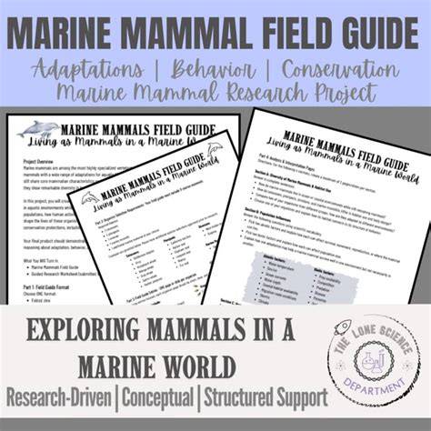 Advancing Marine Biology and Ecology Research - raincitystudios.com