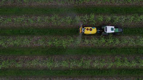 Advancing precision crop technology for orchards - raincitystudios.com