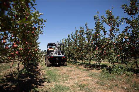 Advancing sustainable and technology driven apple orchard production ... - raincitystudios.com