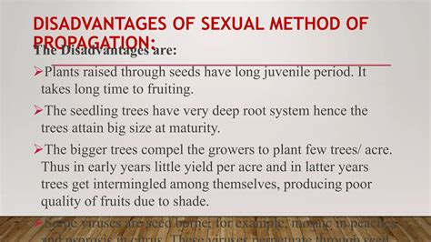 Advantages, disadvantages and desirable characteristics of shade trees ... - raincitystudios.com