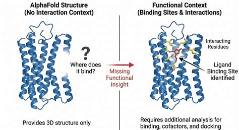 Advantages and Limitations of AlphaFold in Structural ... - Springer - coolestguyplanet.net