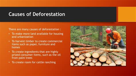 ADVANTAGES OF DEFORESTATION pptx